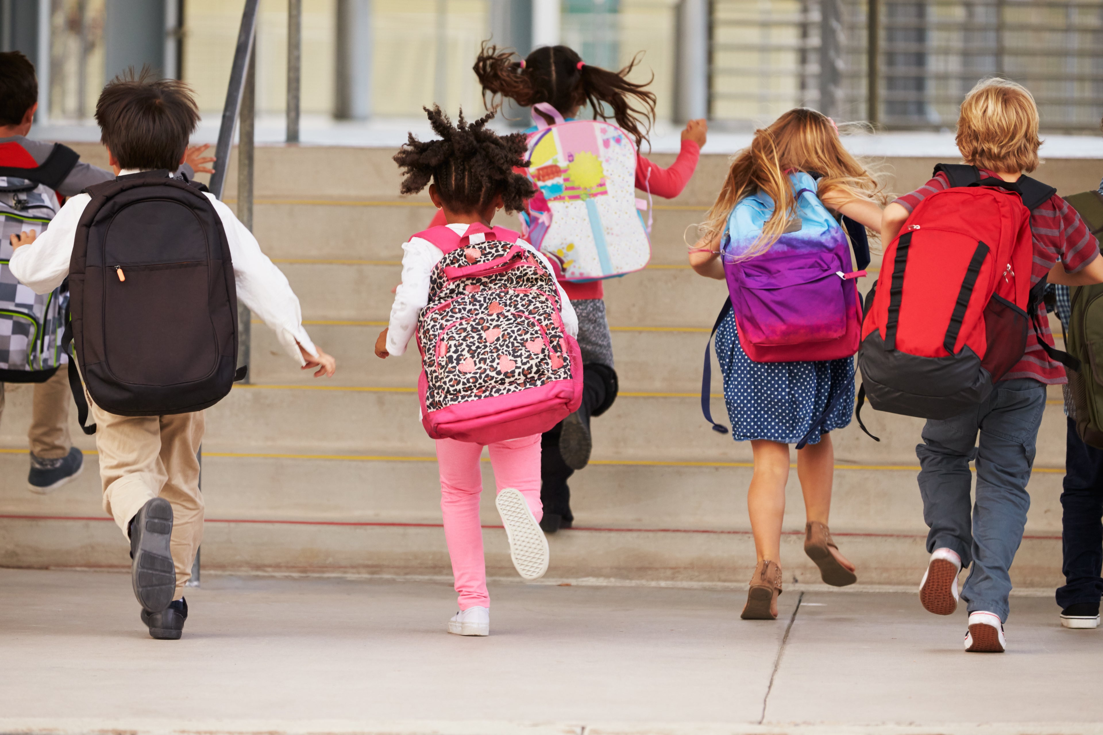 School Bags