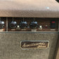 EUC Fender Acoustasonic Junior 40W Amplifier (tested & working)